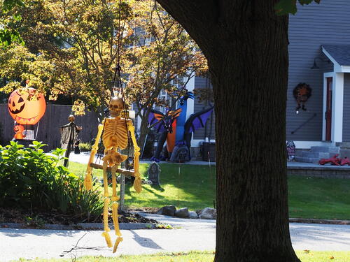 Halloween decorations