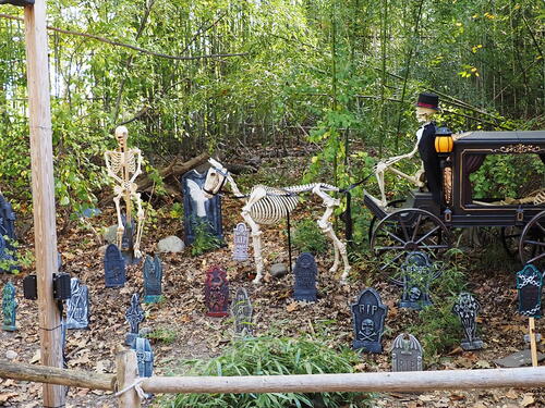 Skeletons at Roger Williams Zoo #16