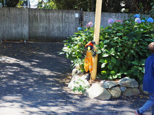 Skeletons at Roger Williams Zoo #17