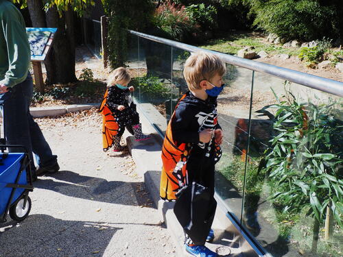 Trick or treat at Roger Williams Zoo #11