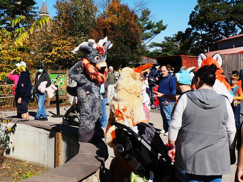 Trick or treat at Roger Williams Zoo #14