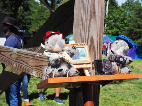 Squirrels
