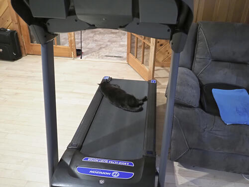 Diana is tired after her workout?