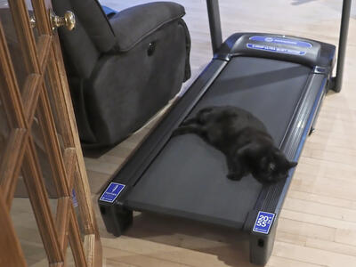 Diana is tired after her workout? #2