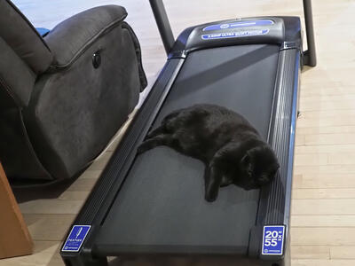 Diana is tired after her workout? #3