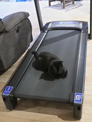 Diana is tired after her workout? #4