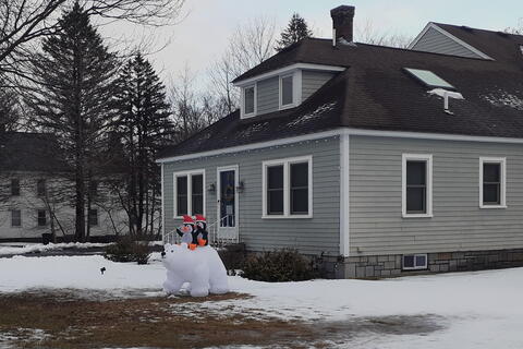 Penguins and polar bear display