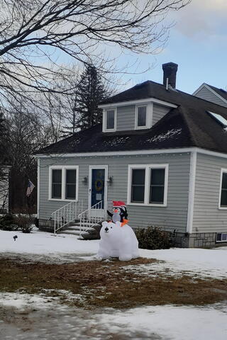 Penguins and polar bear display #2
