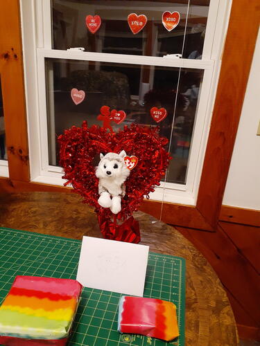 Valentine's day for Liz #2