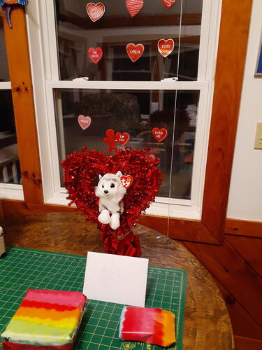 Valentine's day for Liz #4