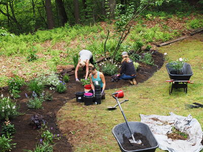 Garden improvements by Ladyslipper Landscaping