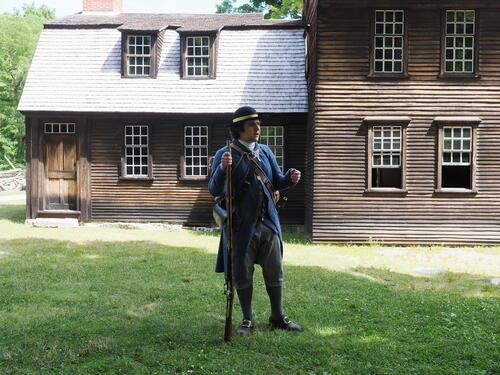 Revolutionary war demonstration #3