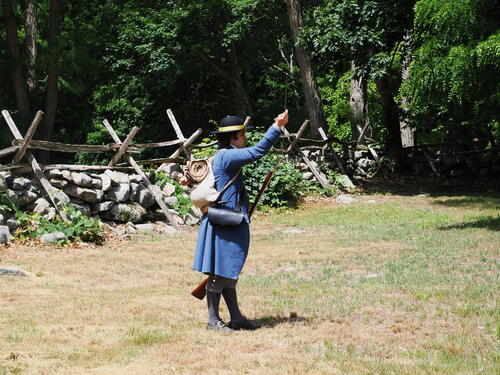 Revolutionary war demonstration #4