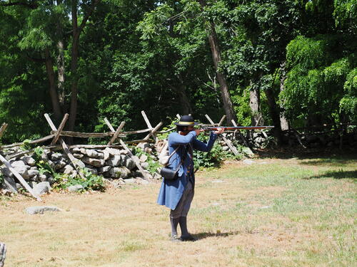 Revolutionary war demonstration #5