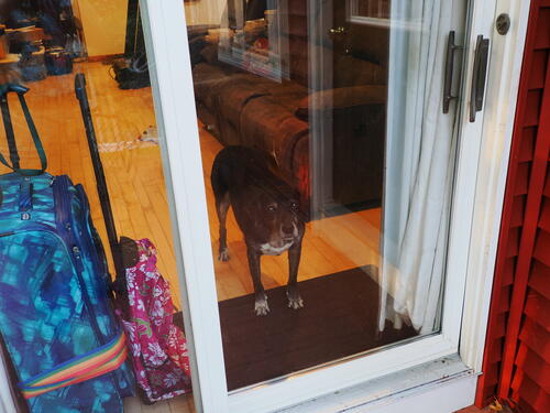 I want to go outside