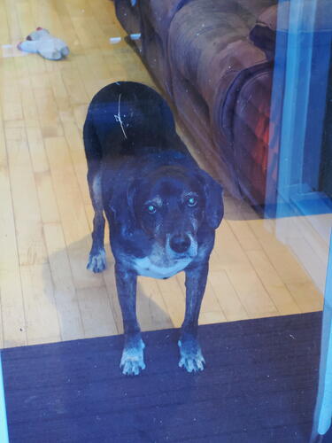 I want to go outside #2