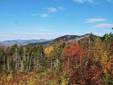 Fall colors at the Kancamagus Scenic Byway #4