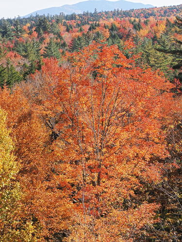 Fall colors at the Kancamagus Scenic Byway #20