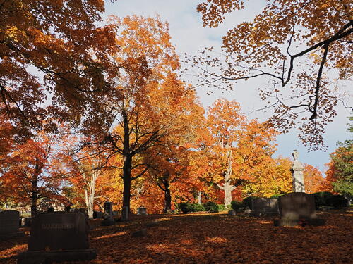 Fall in the West Parish Garden Cemetary