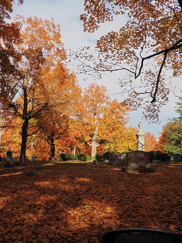 Fall in the West Parish Garden Cemetary #2