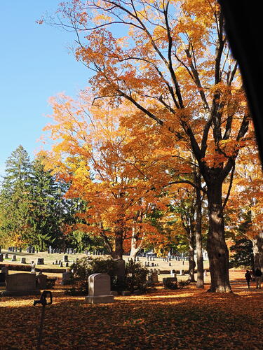 Fall in the West Parish Garden Cemetary #7