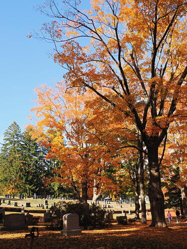 Fall in the West Parish Garden Cemetary #8