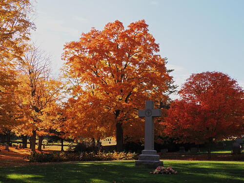 Fall in the West Parish Garden Cemetary #13