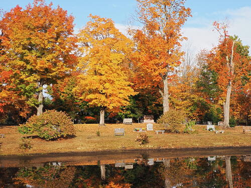 Fall in the West Parish Garden Cemetary #15