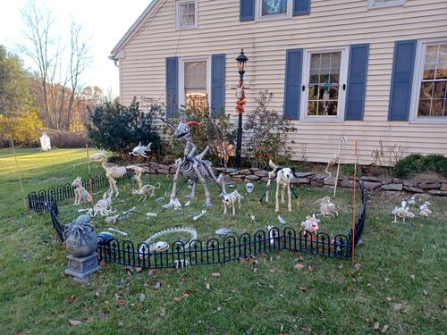 Russell Hannula's Halloween decorations
