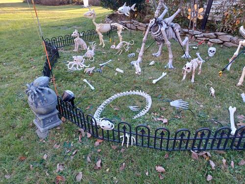 Russell Hannula's Halloween decorations #2