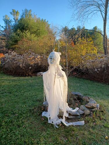 Russell Hannula's Halloween decorations #9