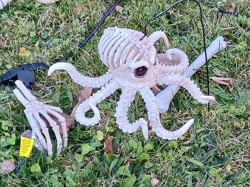 Russell Hannula's Halloween decorations #12