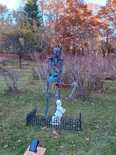 Russell Hannula's Halloween decorations #21