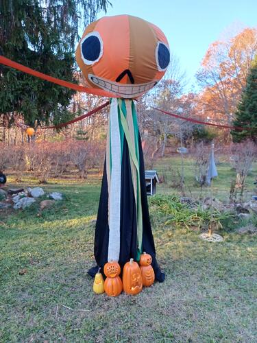 Russell Hannula's Halloween decorations #23