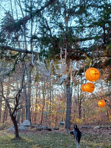 Russell Hannula's Halloween decorations #26