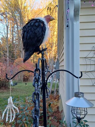 Russell Hannula's Halloween decorations #29