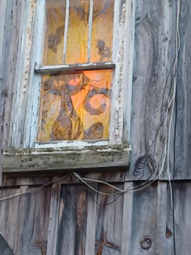 Russell Hannula's Halloween decorations #32