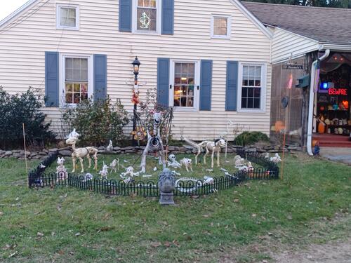 Russell Hannula's Halloween decorations #33