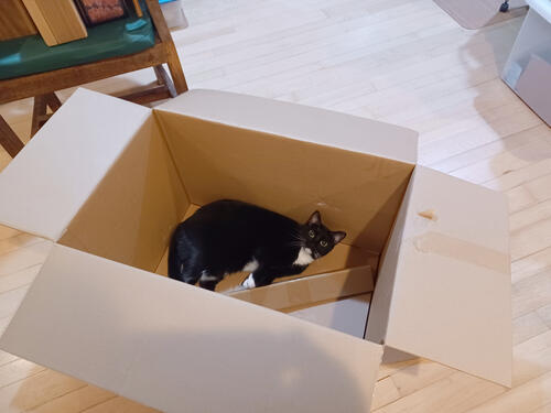 Nightwind in a box #2