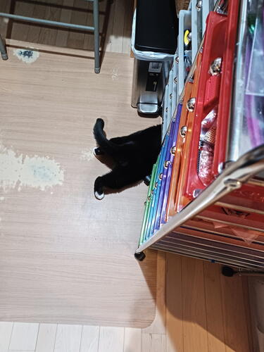 On the search for something