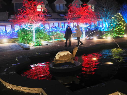 Tower Hill Botanic Garden Night Lights