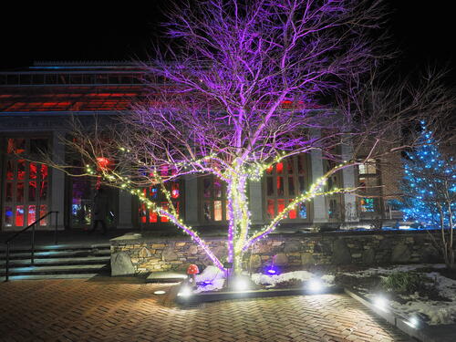 Tower Hill Botanic Garden Night Lights #2