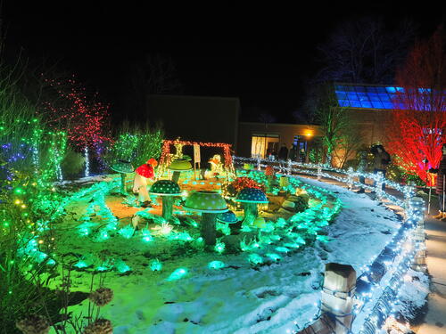 Tower Hill Botanic Garden Night Lights #3