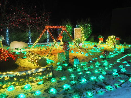 Tower Hill Botanic Garden Night Lights #5