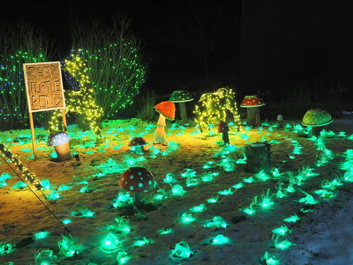 Tower Hill Botanic Garden Night Lights #6