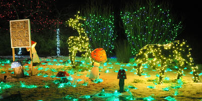 Tower Hill Botanic Garden Night Lights #7