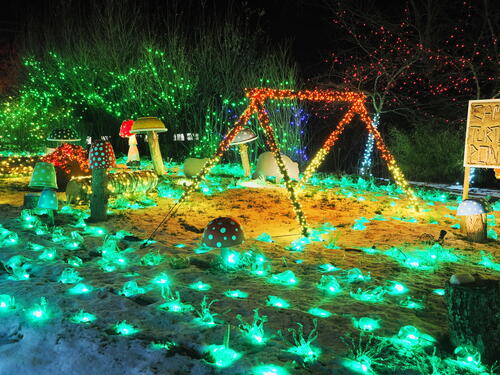 Tower Hill Botanic Garden Night Lights #8