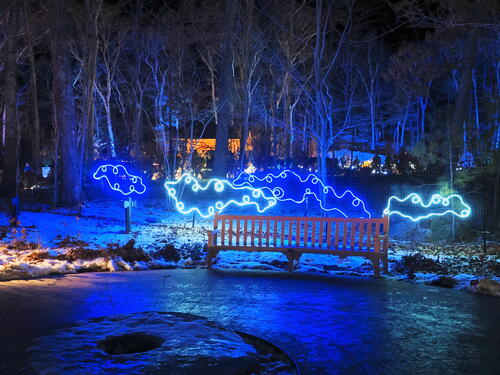 Tower Hill Botanic Garden Night Lights #11