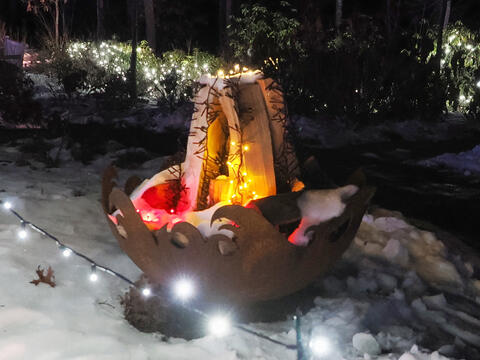 Tower Hill Botanic Garden Night Lights #12