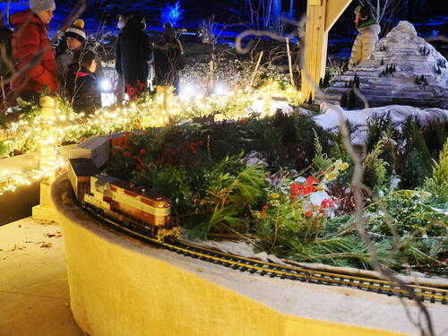 Tower Hill Botanic Garden Night Lights #15